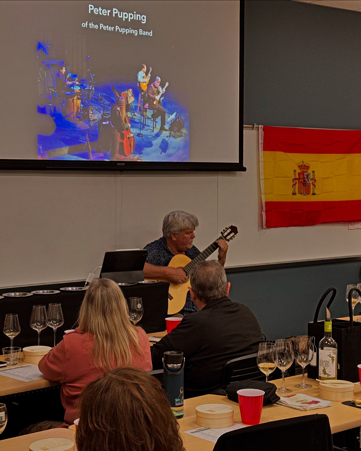 Flamenco Guitar